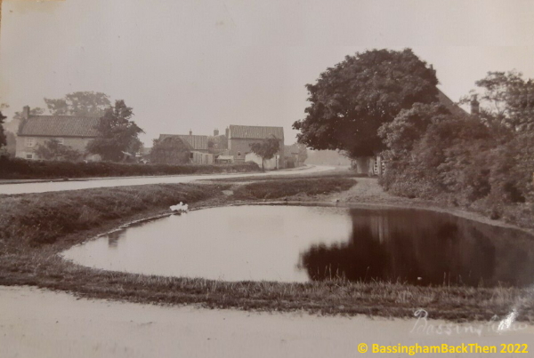 1908-07-29 Village Pond
